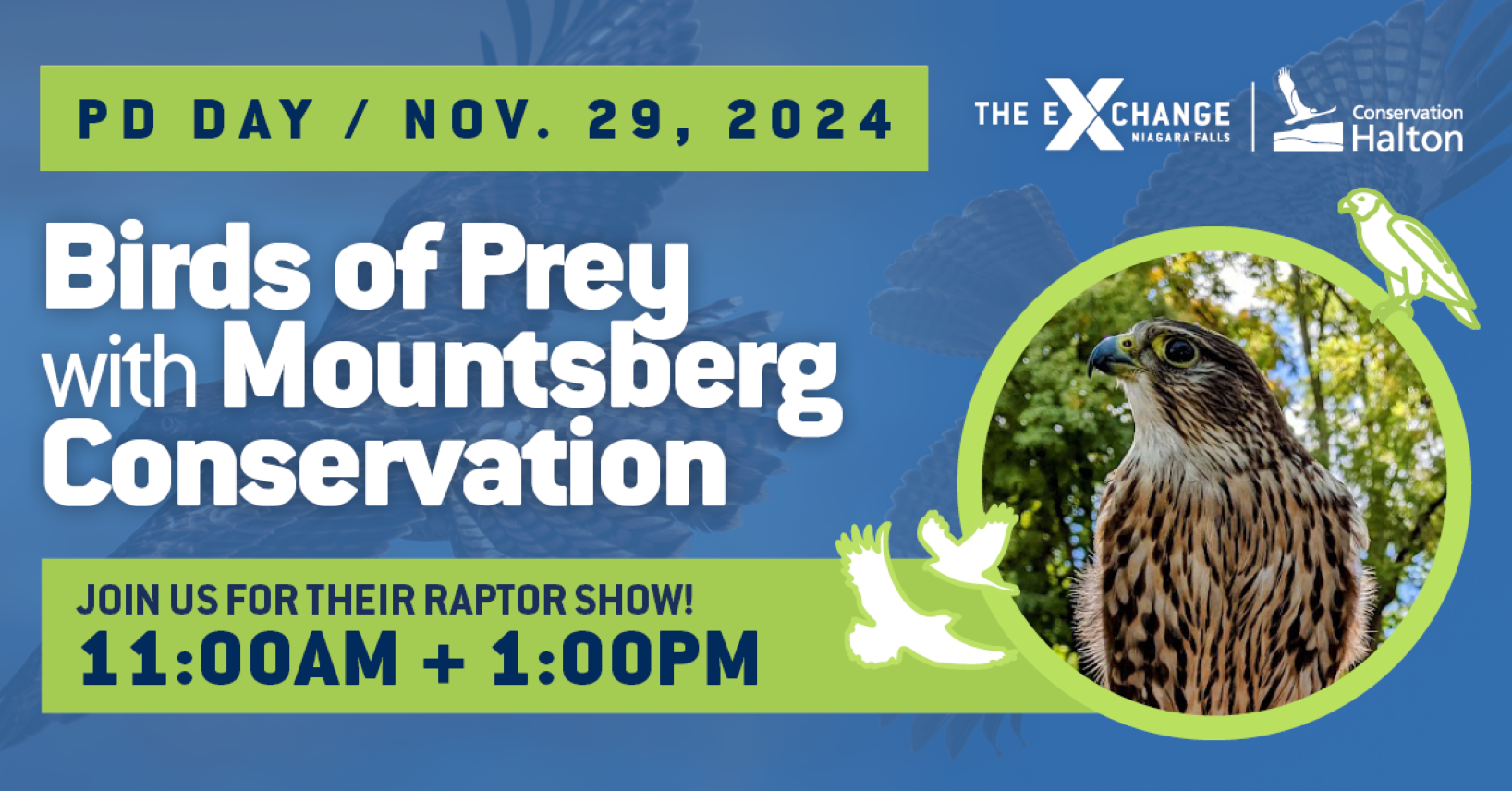 PD Day: Birds of Prey with Mountsberg Conservation