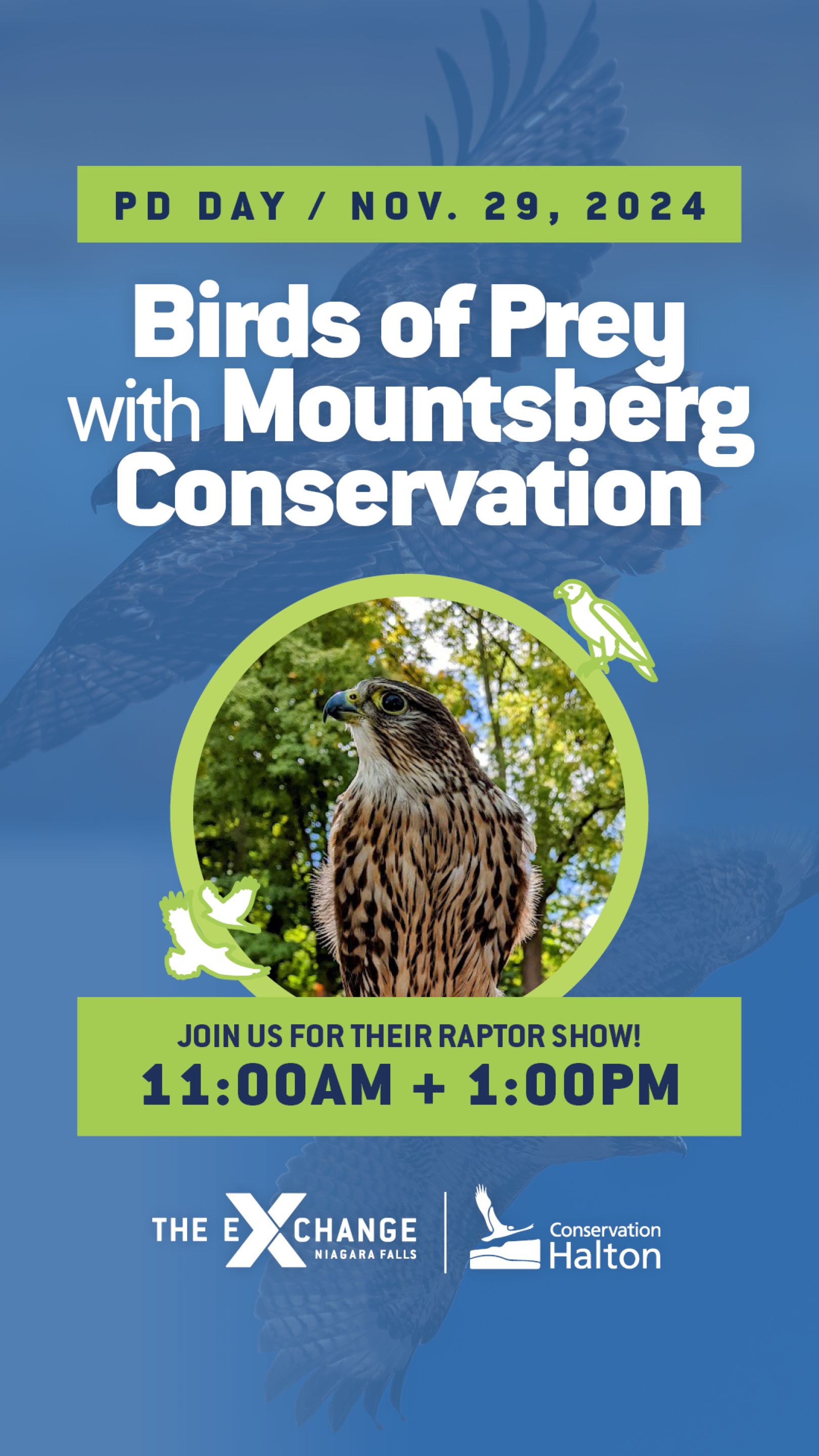 PD Day: Birds of Prey with Mountsberg Conservation