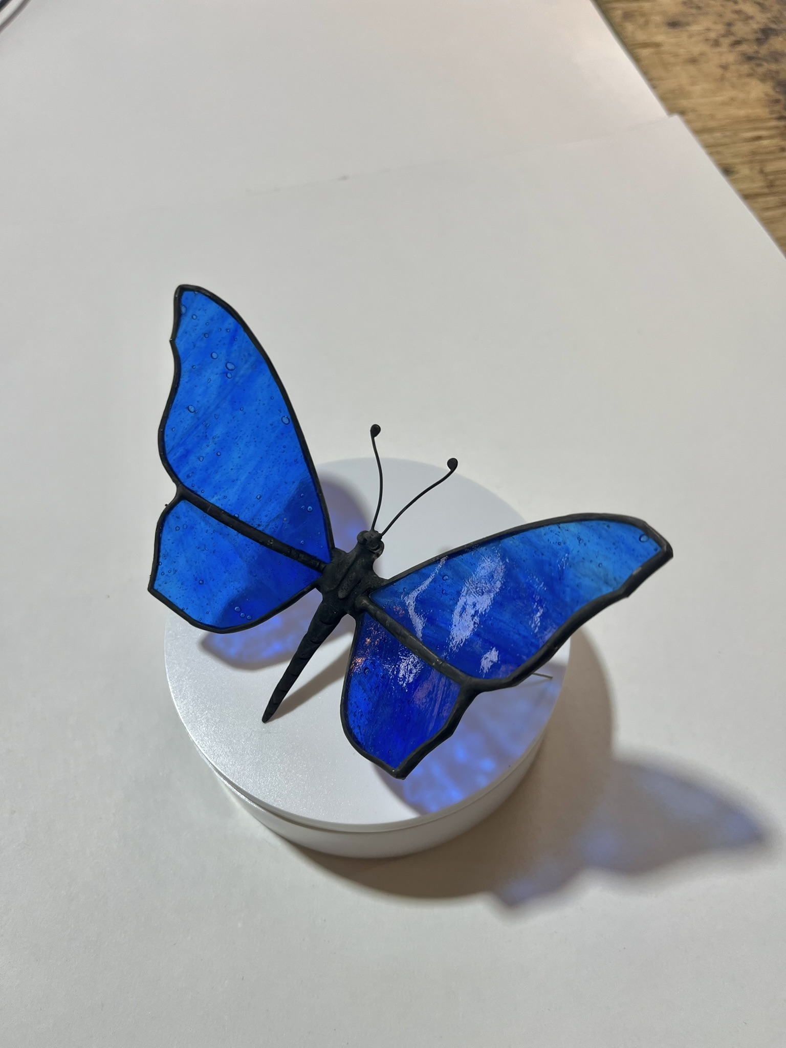 blue butterfly