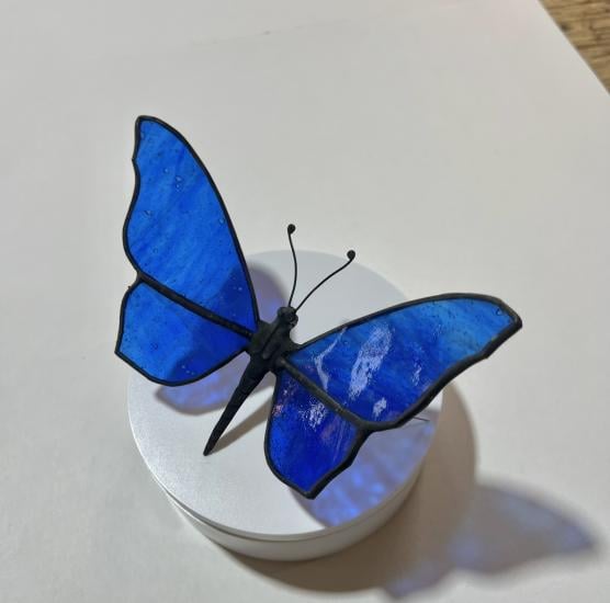 blue butterfly