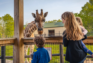 Exploring Wildlife Adventures in Niagara Falls