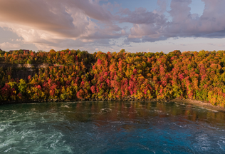 Must-See Spots for Spectacular Fall Colours in Niagara Falls