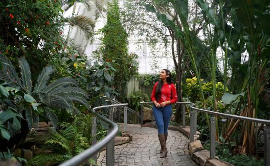 Niagara Parks Butterfly Conservatory