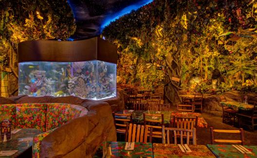 The Rainforest Café